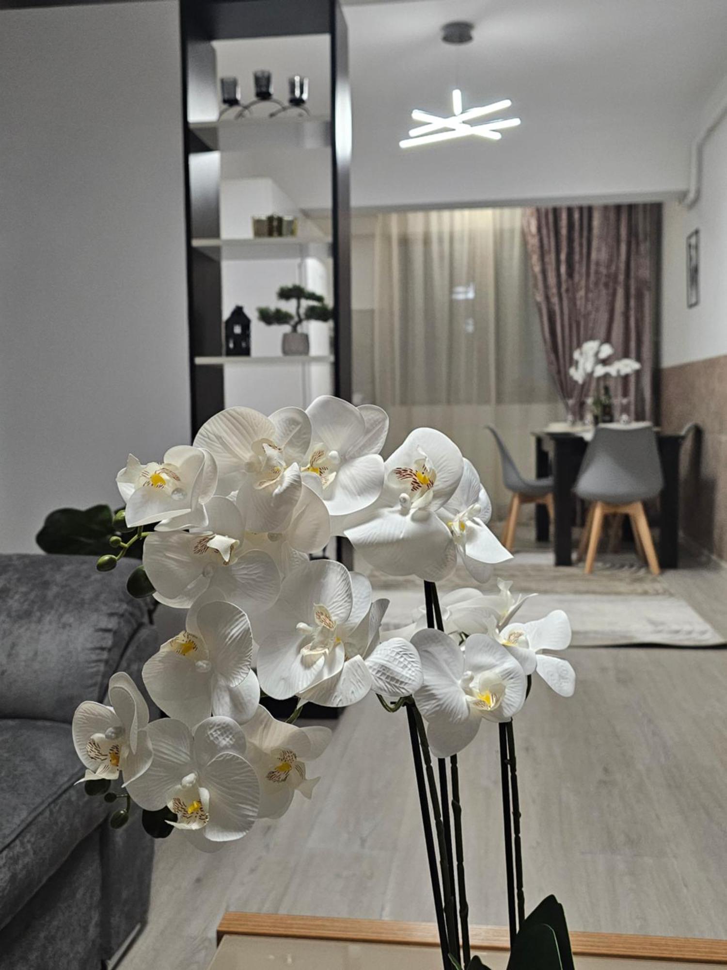Enjoy My Home Near Palas Mall 2 Iasi Luaran gambar